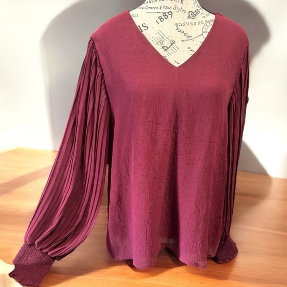 Entro Burgundy V-Neck Blouse Size M NWT - Picture 2 of 9